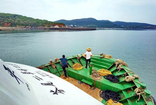 哪些证券公司比较好 近海水产养殖业塑料污染不容忽视，专家呼吁加强监管